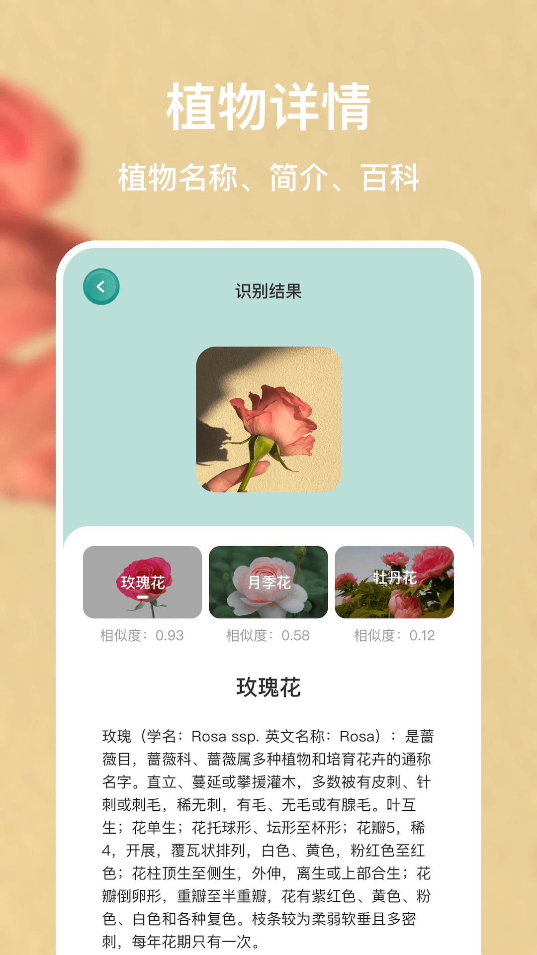 识别花软件封面