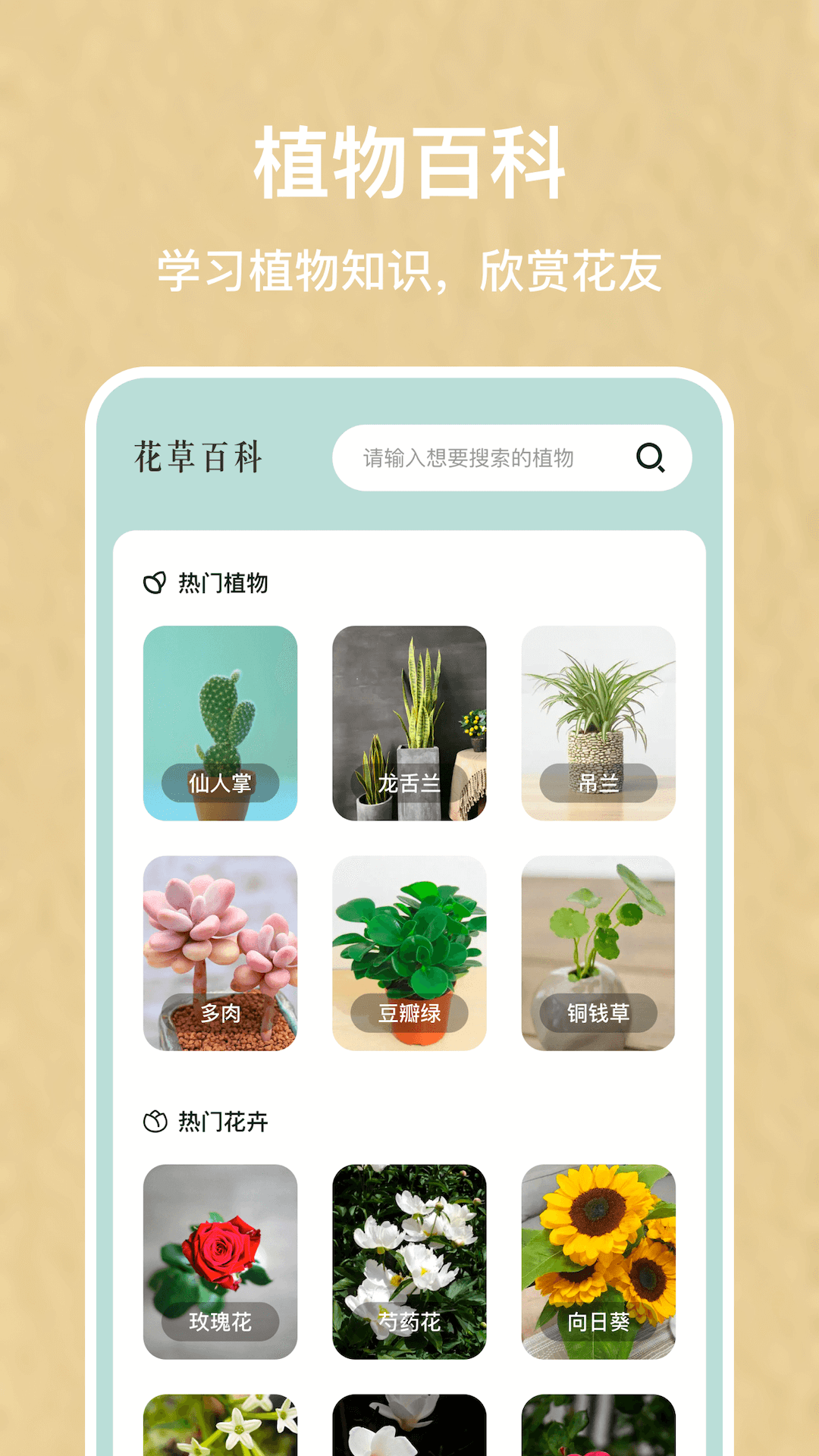 识别花软件封面