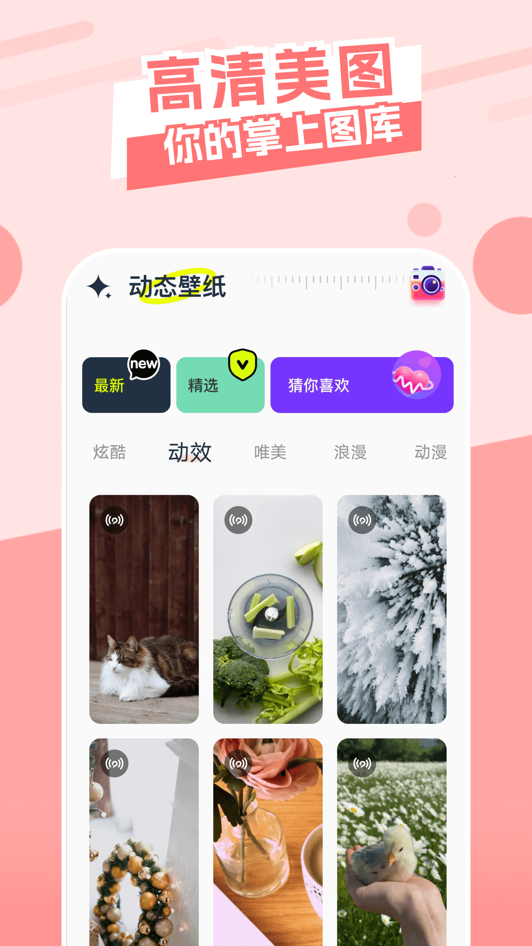 主题库软件封面