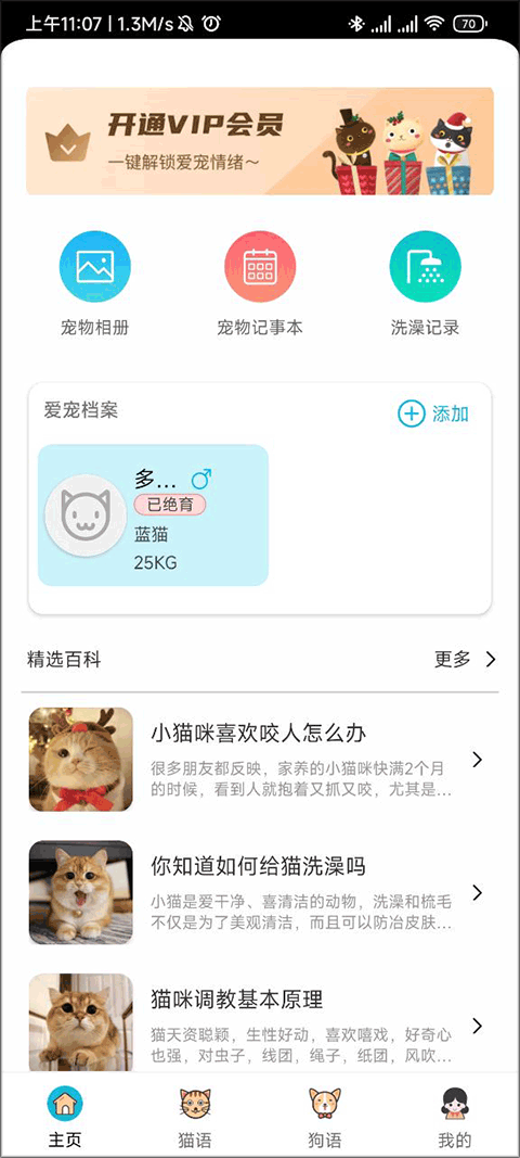 宠物档案列表界面