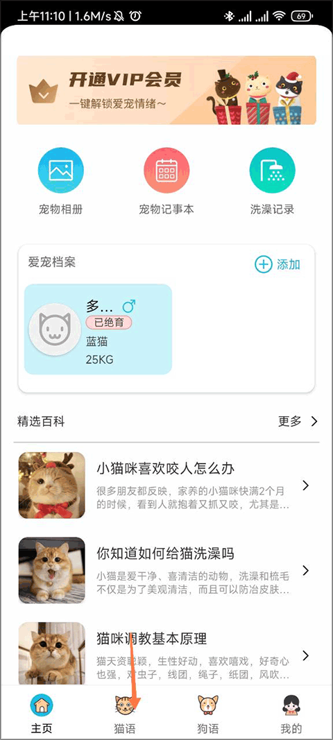 猫语翻译界面