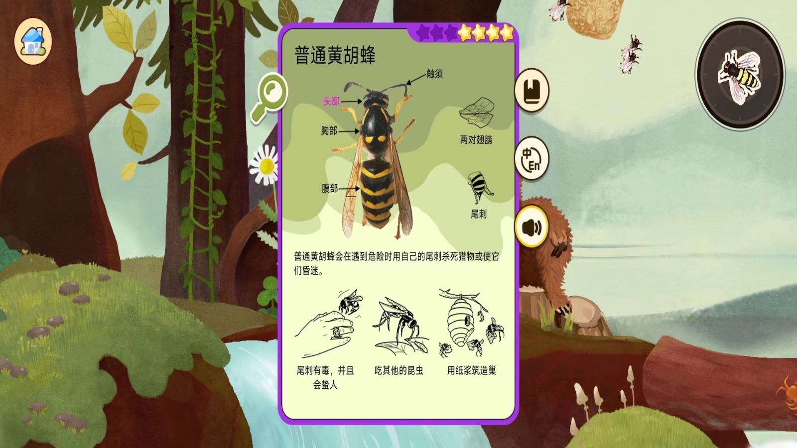 熊猫博士DK儿童大百科软件封面