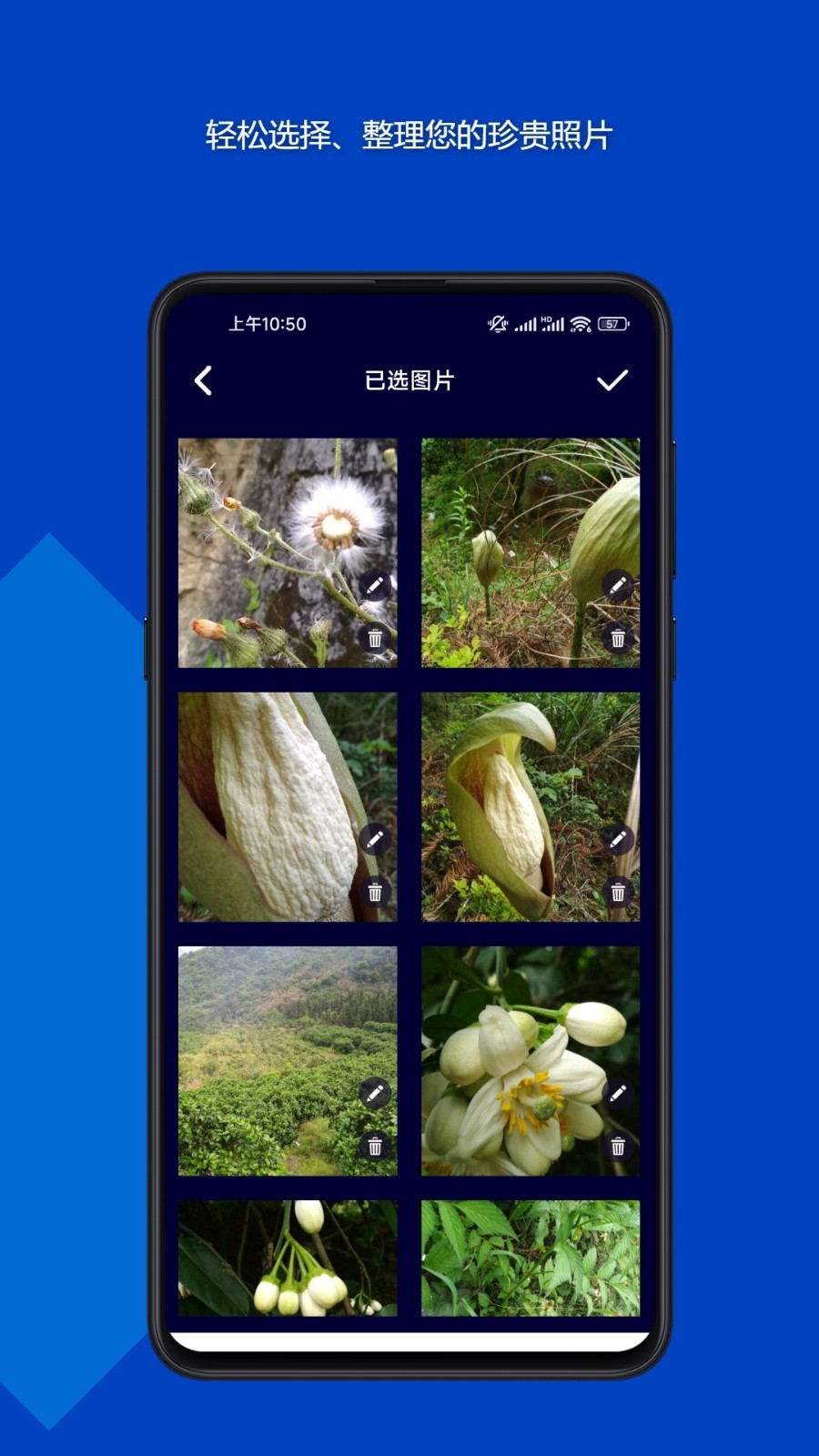 魔法音乐相册软件封面