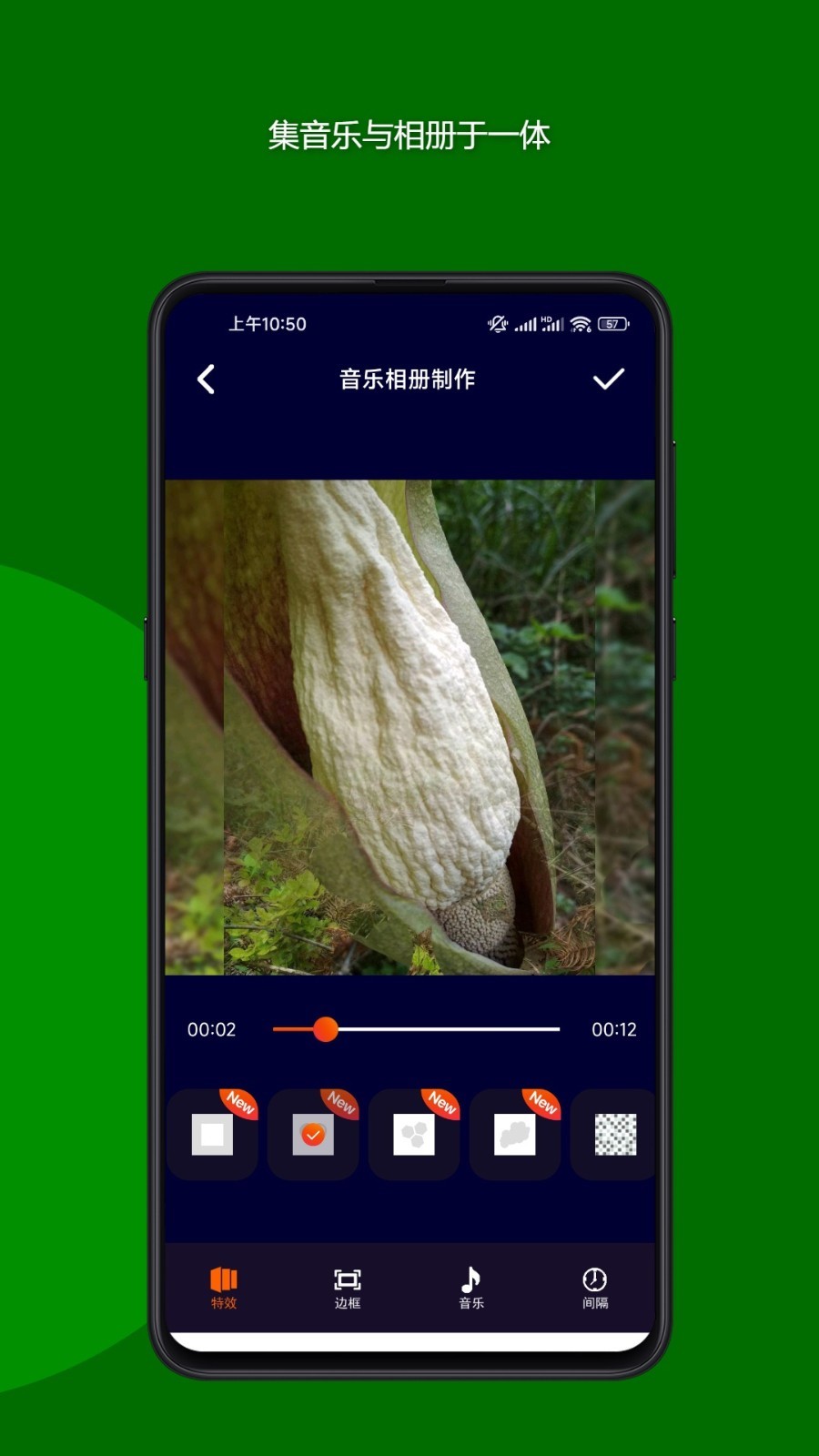 魔法音乐相册软件封面