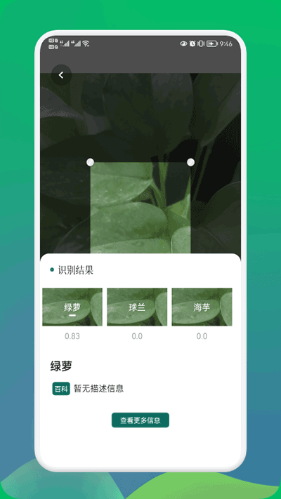 小园丁app官方正版软件封面