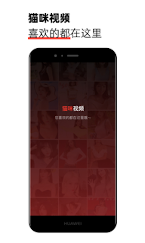 猫咪视频剪辑社区app软件软件封面