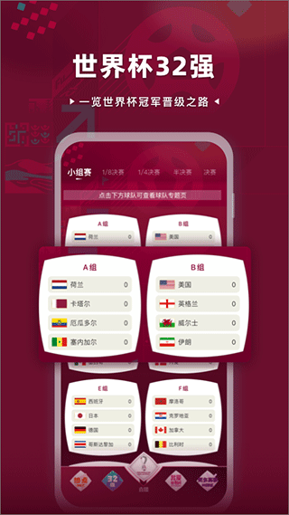 卡塔尔世界杯直播CCTV5软件软件封面