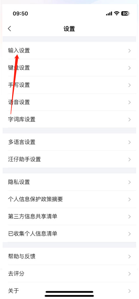 输入设置