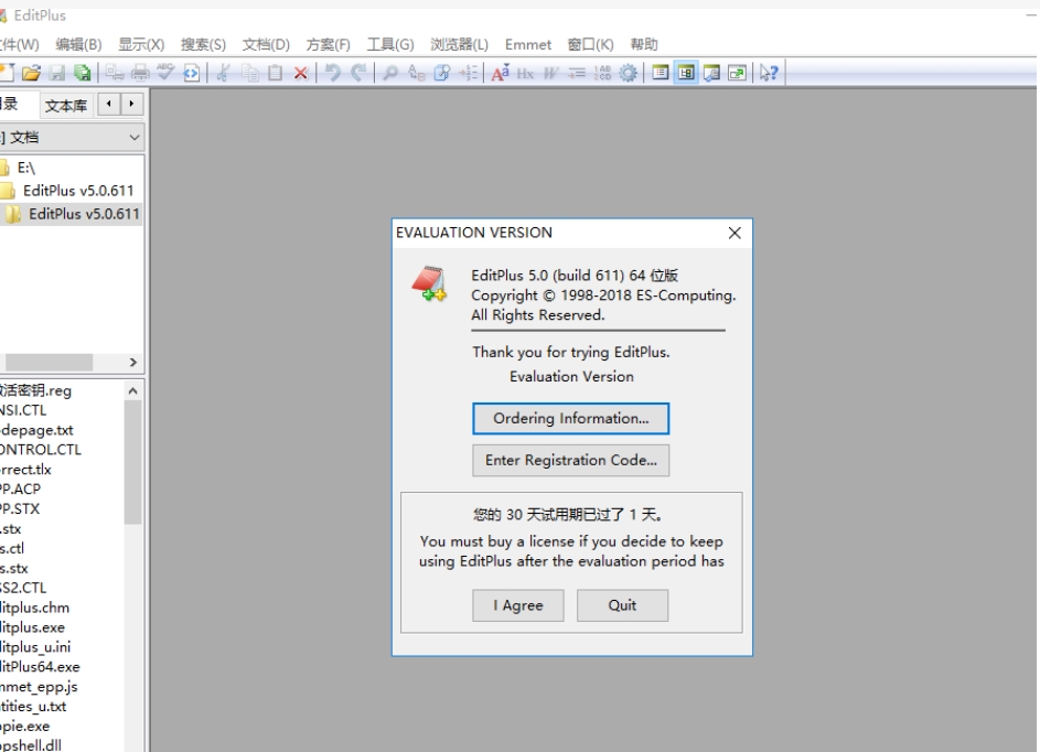 EditPlus 复制为 HTML 功能界面