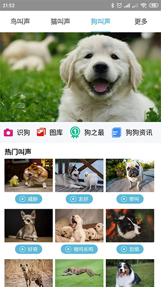 鸟叫声大全app软件封面