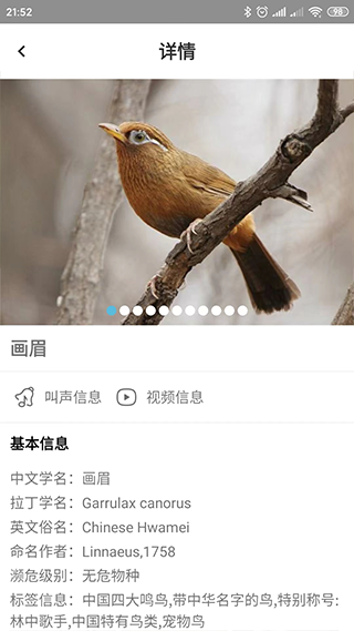 鸟叫声大全app软件封面
