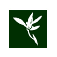 Blumind v1.0.1 绿色版