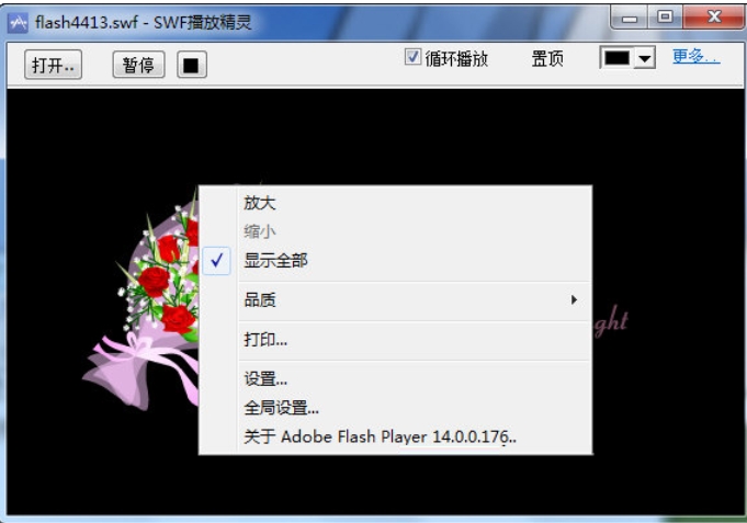 SWF播放器图片