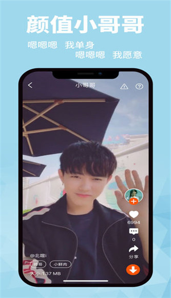 壁纸菌app软件封面