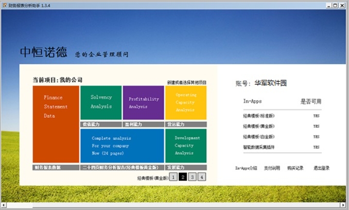 财务报表分析助手功能截图