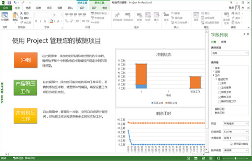 Project 2013 Interface
