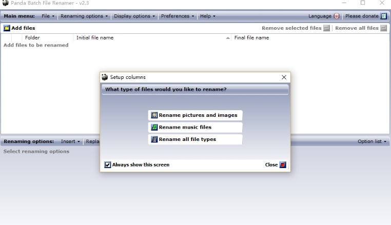 Panda Batch File Renamer Features