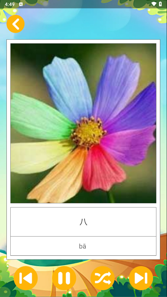 八瓣花瓣代表数字8的截图