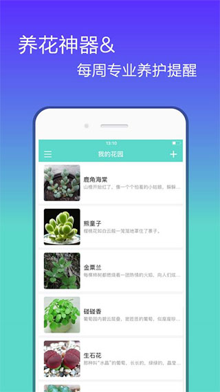 花信app软件封面
