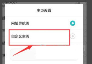 自定义主页设置
