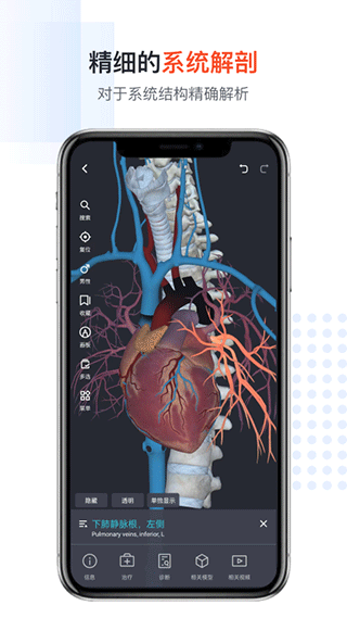 口袋人体解剖app第2张手机截图