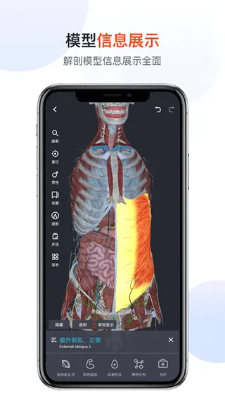 口袋人体解剖app软件封面