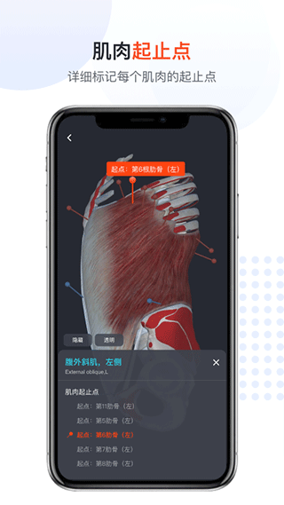 口袋人体解剖app第5张手机截图
