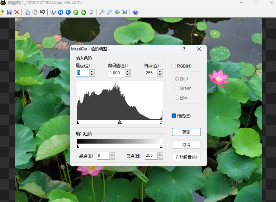 MassiGra Image Viewer and Editor