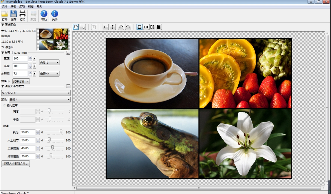 PhotoZoom Classic 图片示例