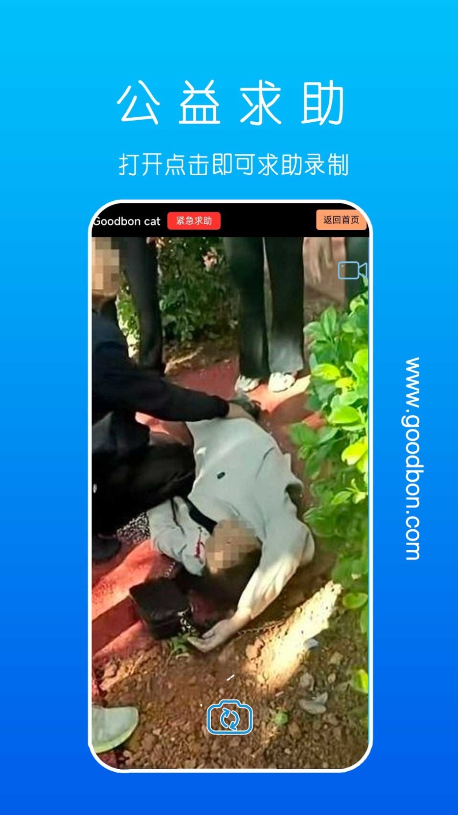 goodbon cat软件封面