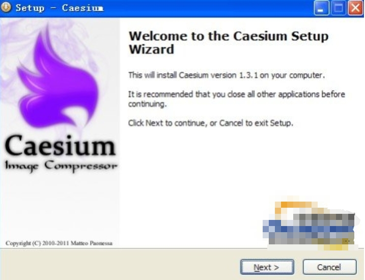 Caesium 安装步骤