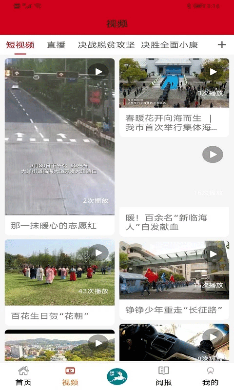 掌心临海app软件封面