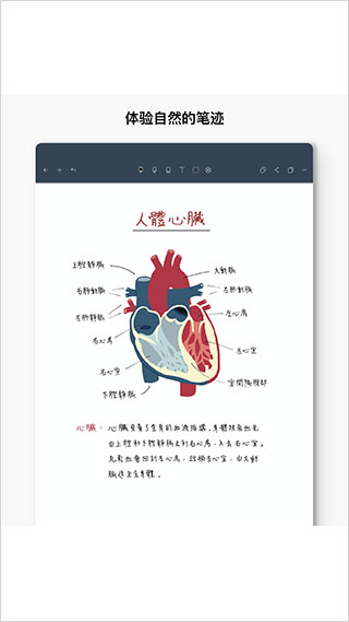 noteshelf软件封面