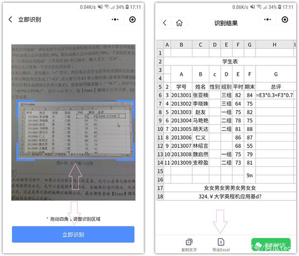 识别表格内容结果