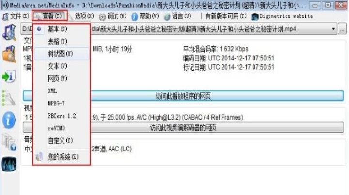 MediaInfo User Interface
