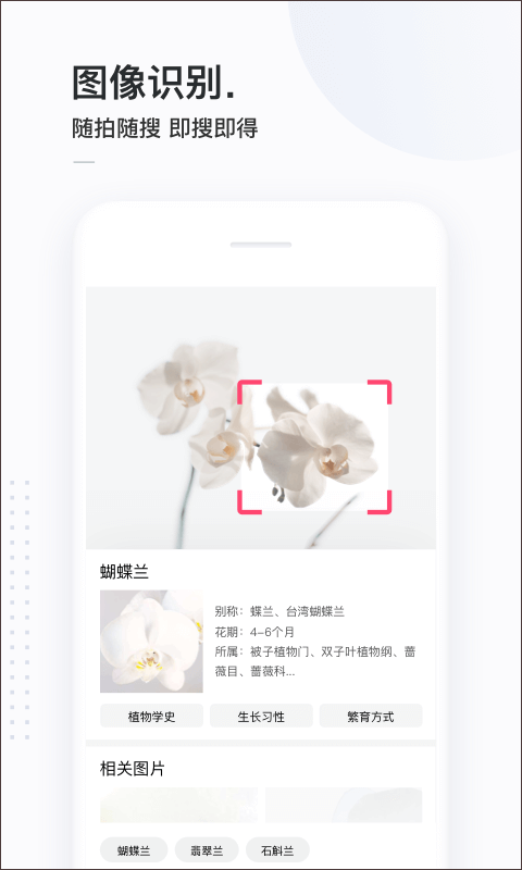 百度简单搜索app第3张手机截图