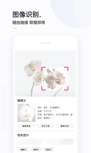简单搜索浏览器app软件封面