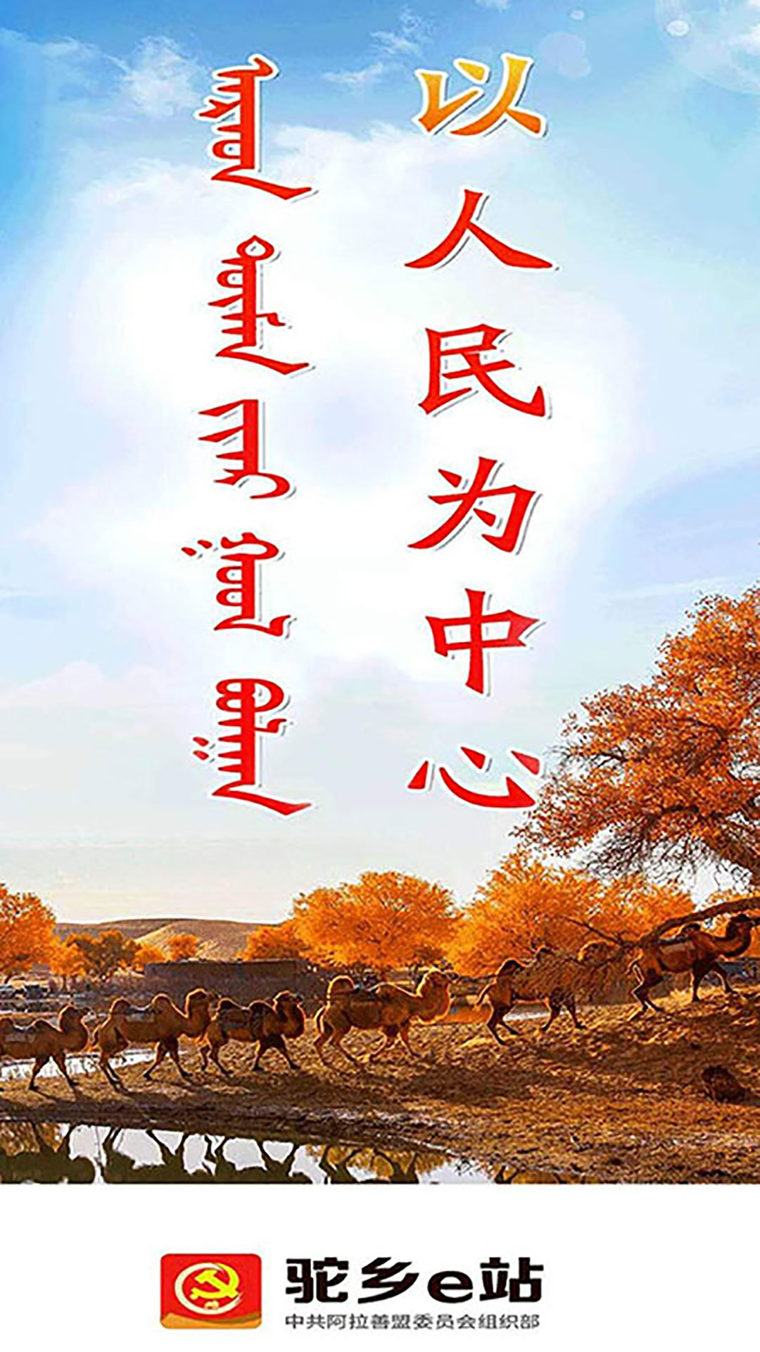 驼乡e站软件封面