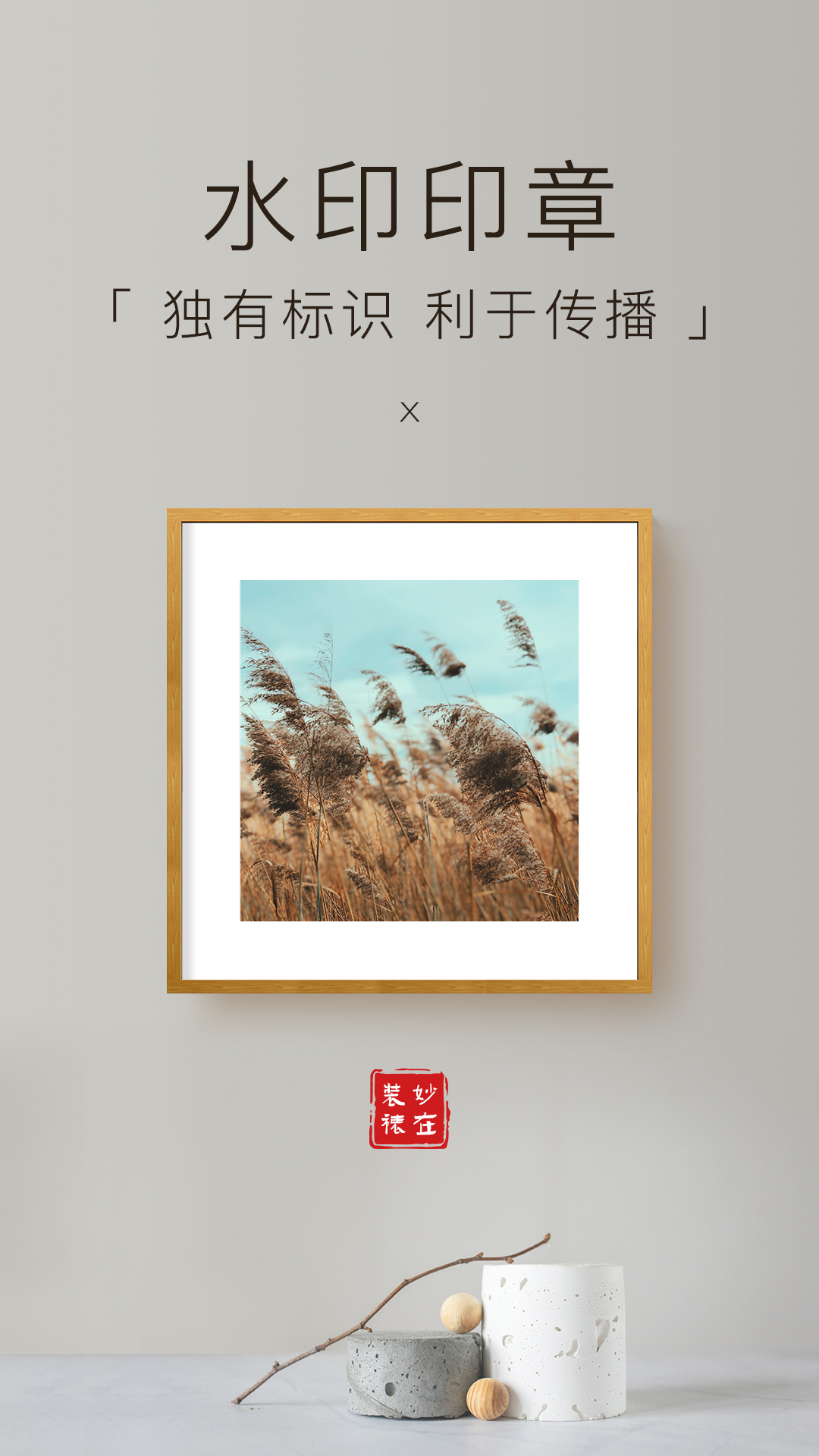 妙在装裱软件封面
