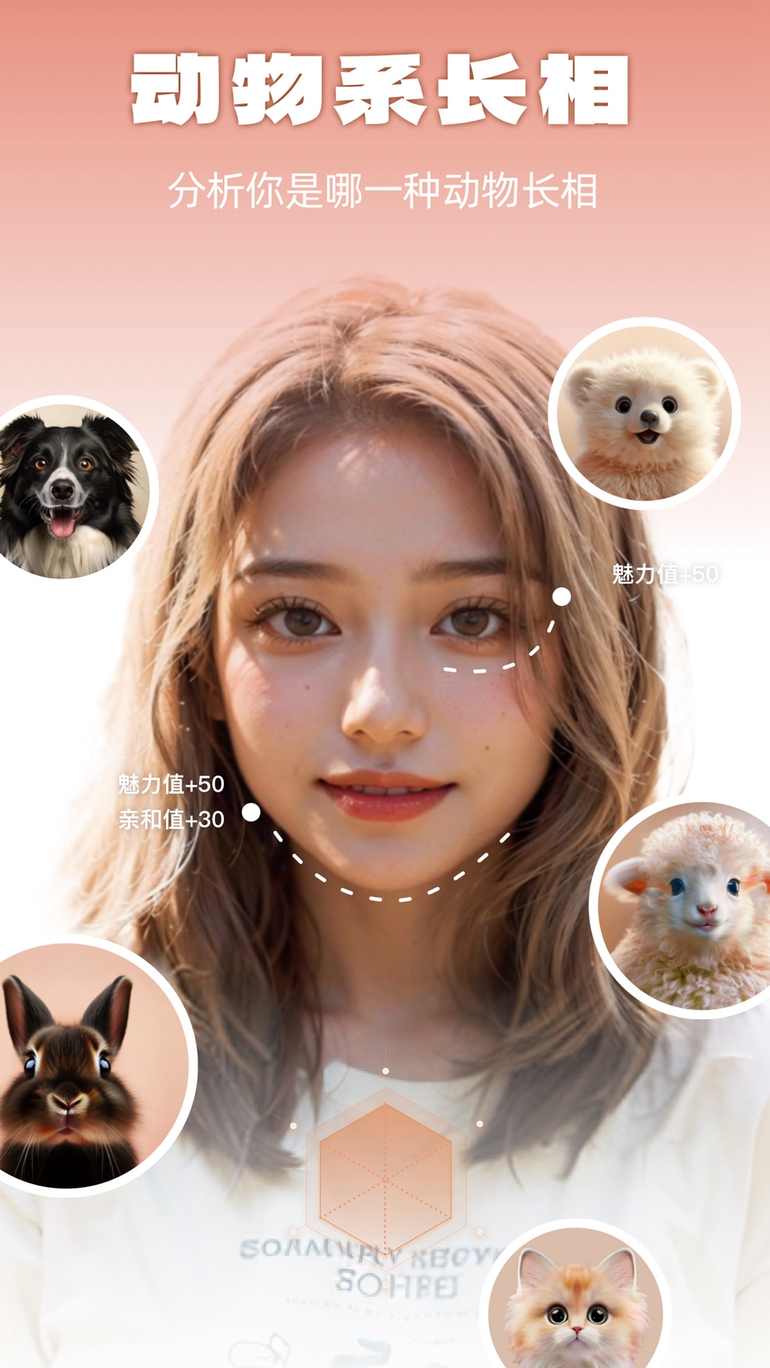 灵魂宠物软件封面