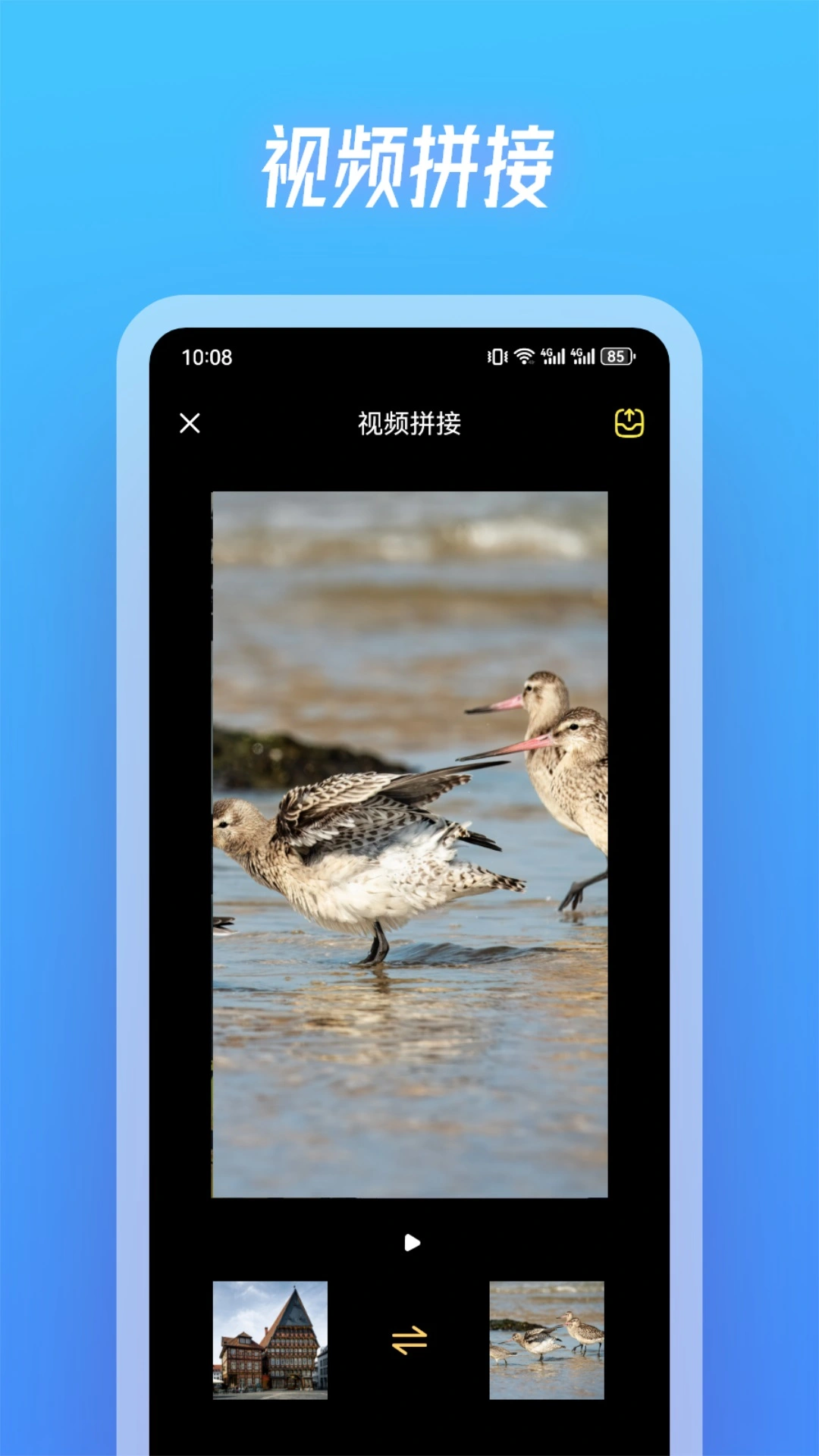 斑马视频软件封面