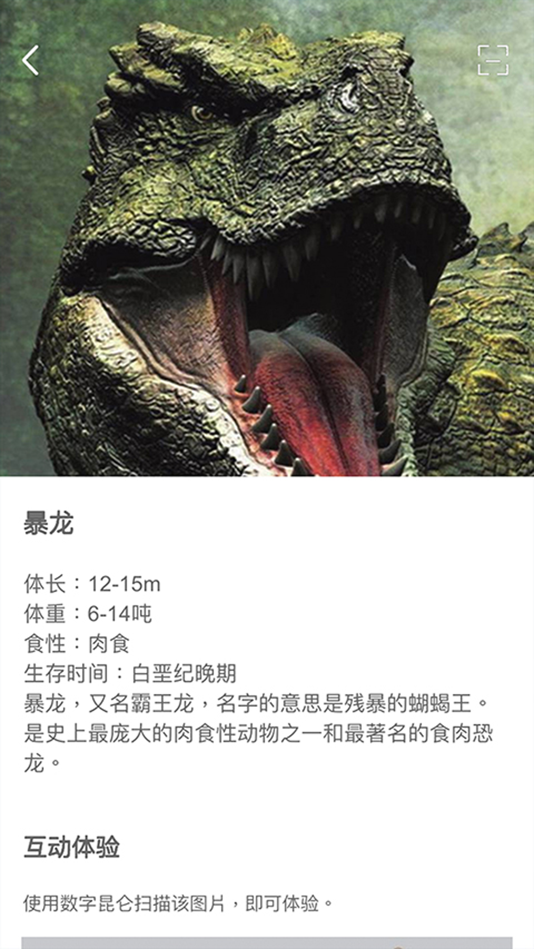 数字昆仑软件封面