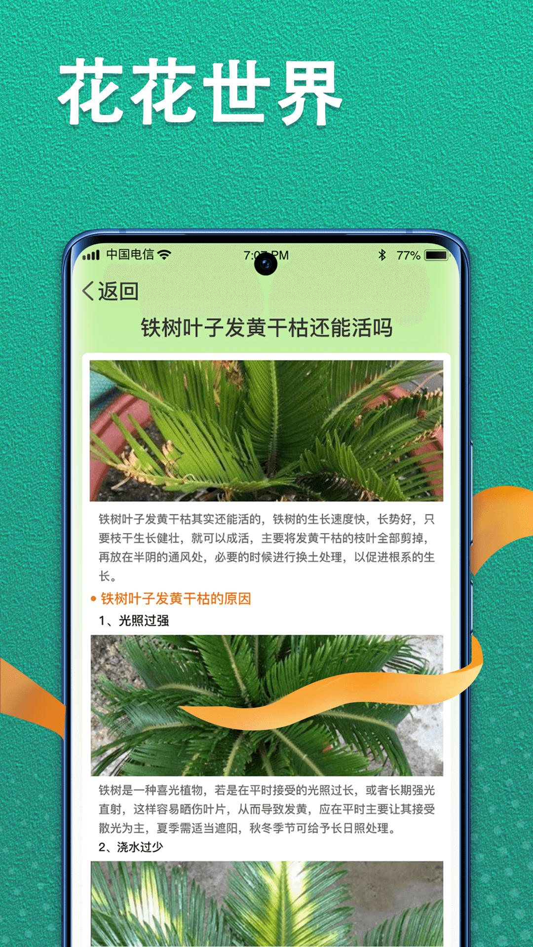 植物视界第3张手机截图