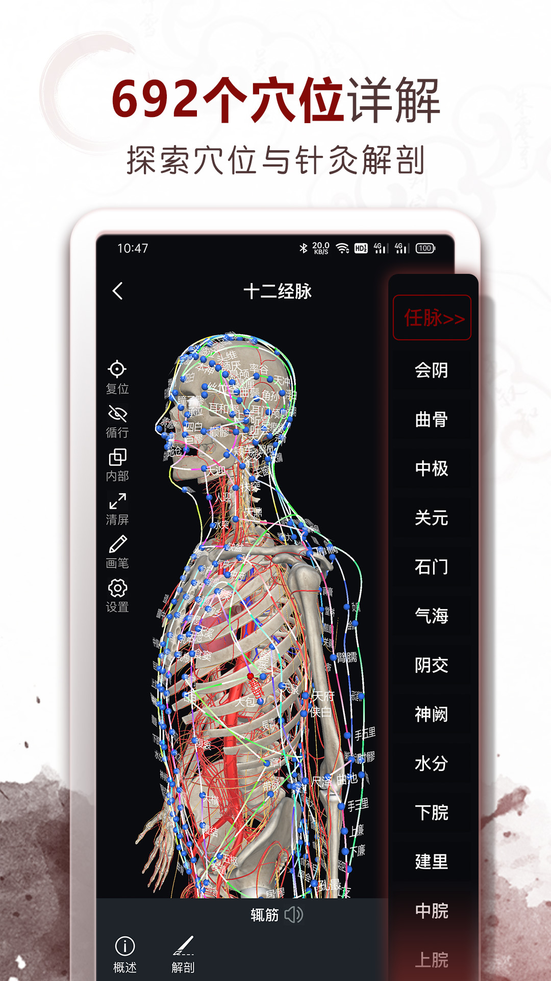 中医经络穴位软件封面