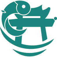 锦小鲤会计课堂