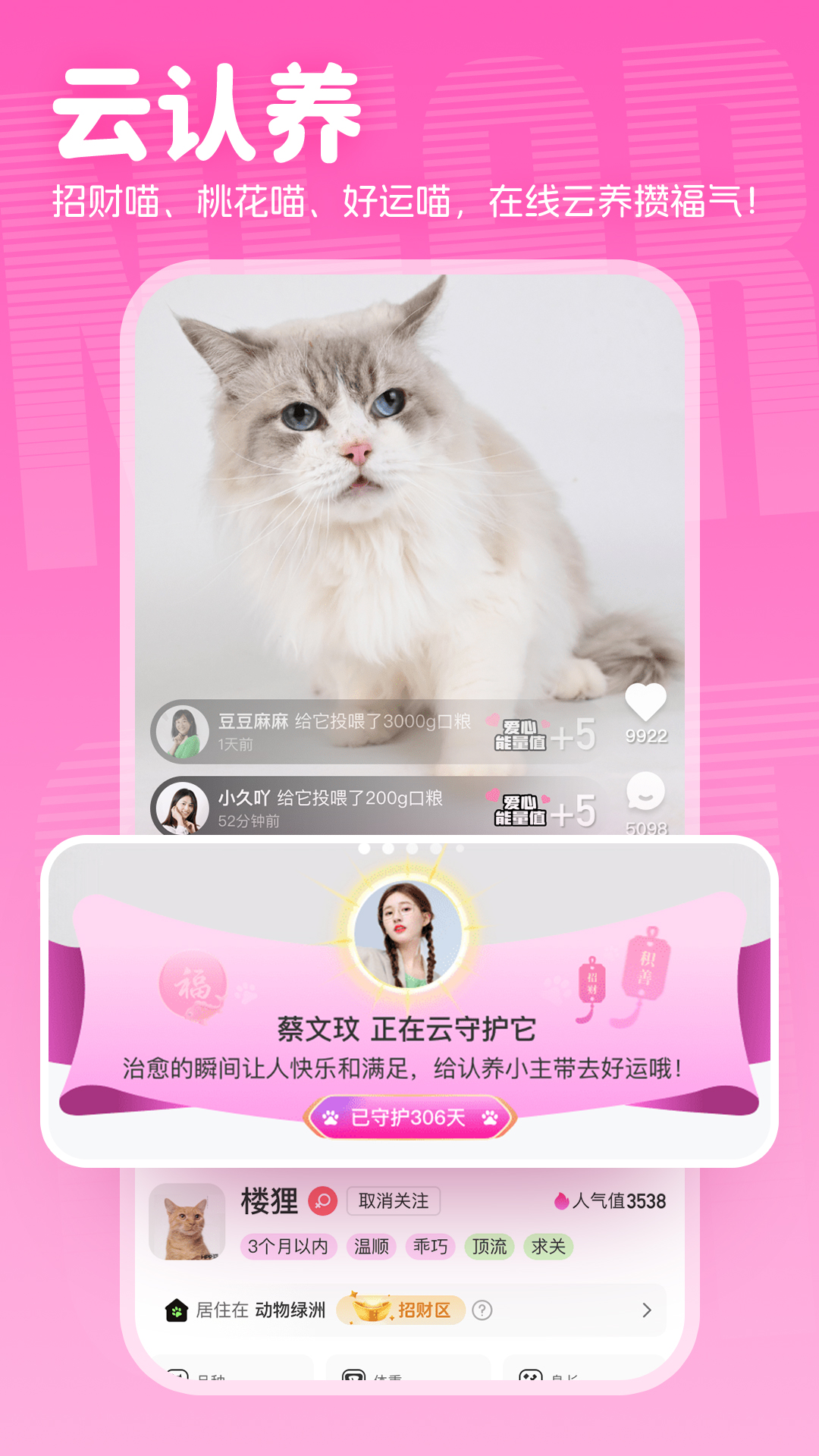 附近有喵软件封面