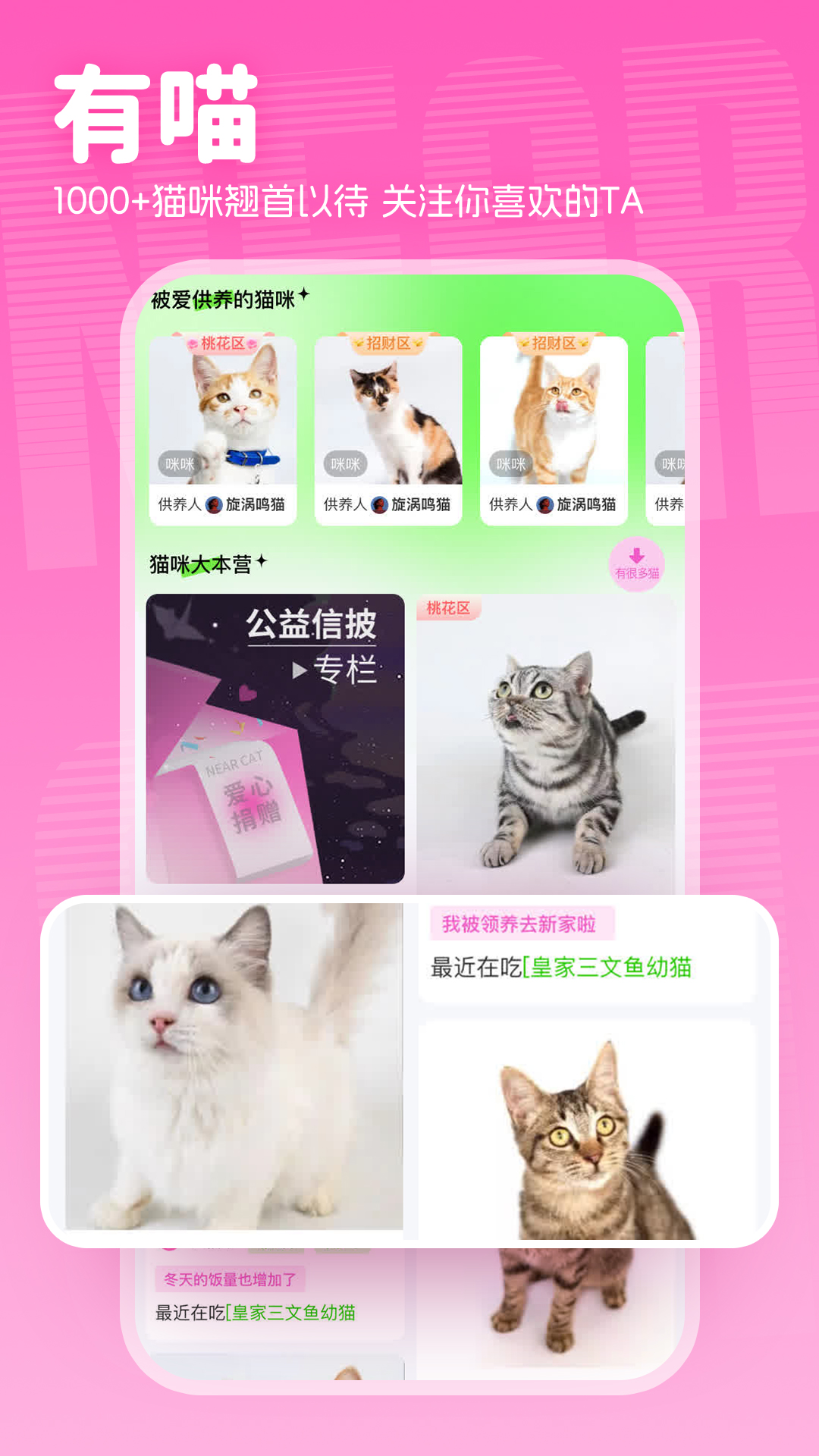 附近有喵软件封面