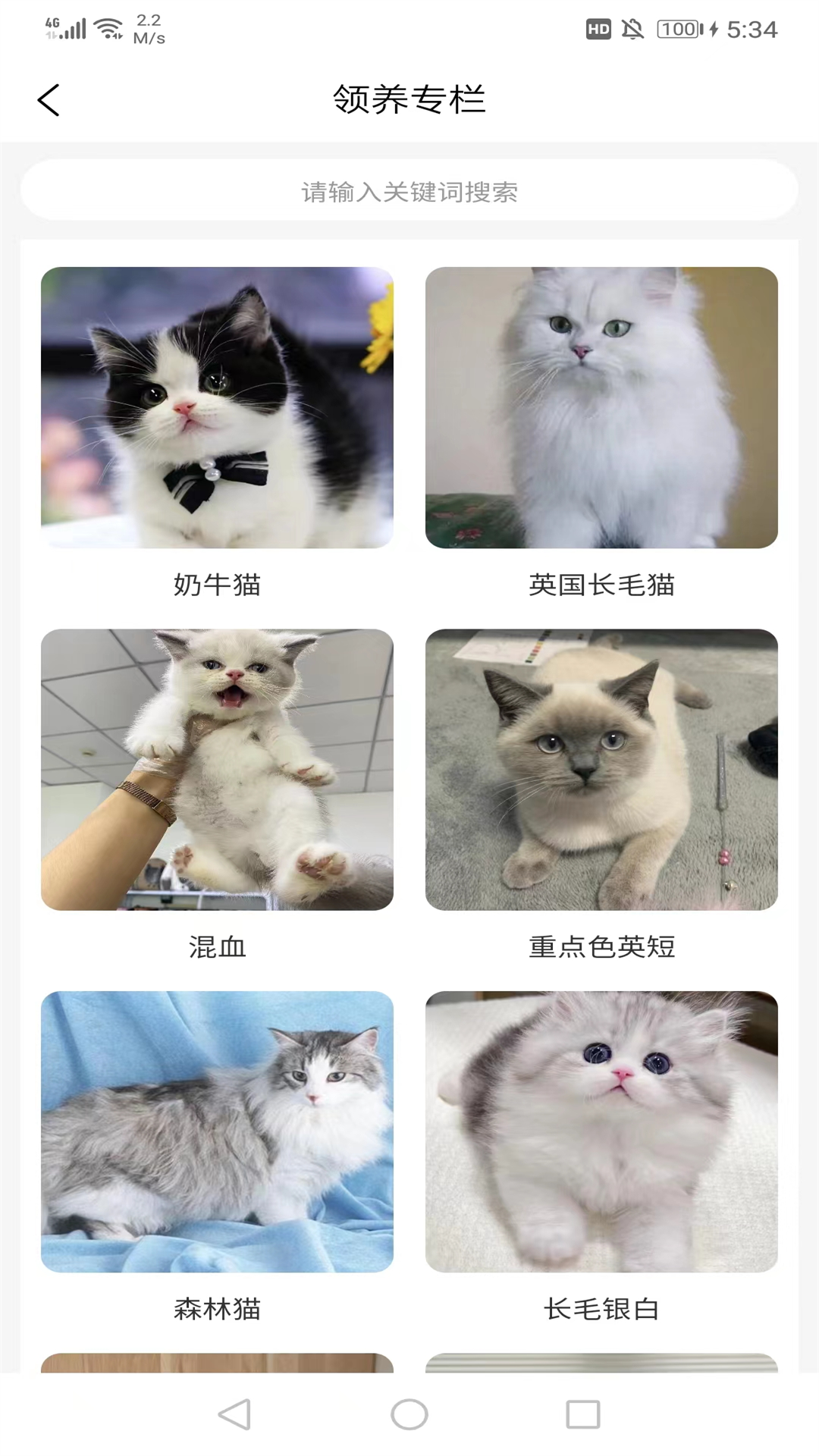 宠哩吖商城软件封面