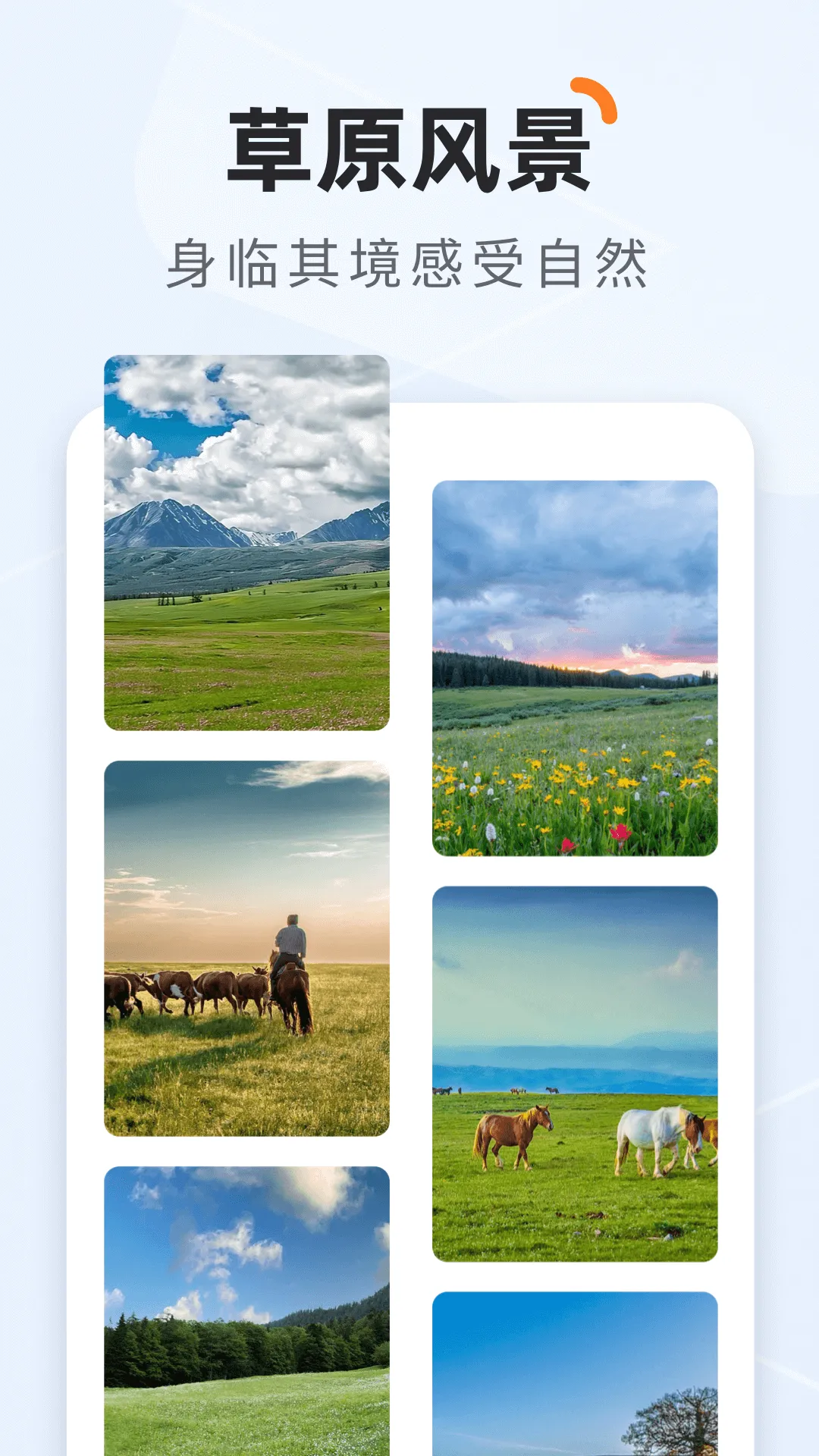 栖遇相机软件封面