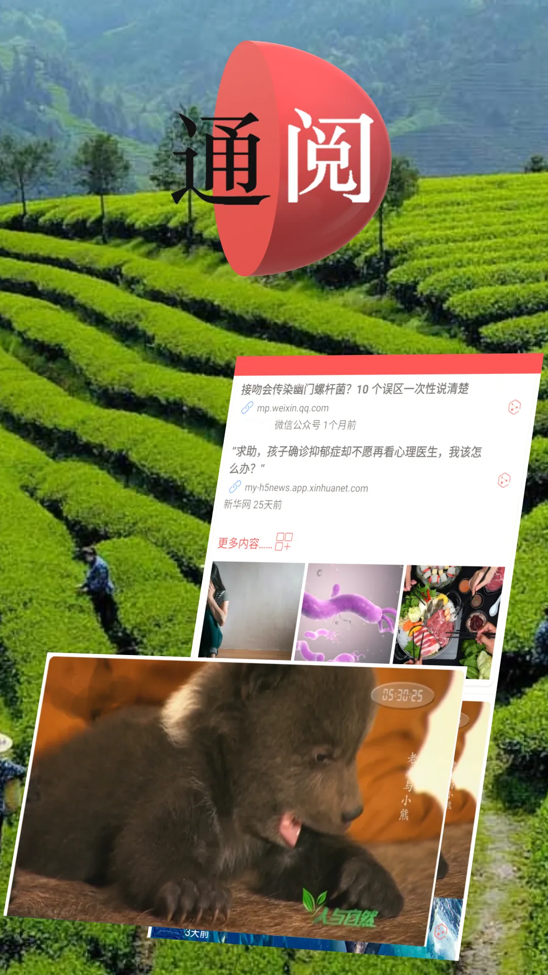 通阅百科软件封面